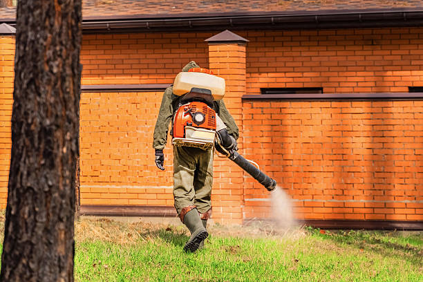 Trusted Rodent Control service in Indianola, WA - Nex Pest Control